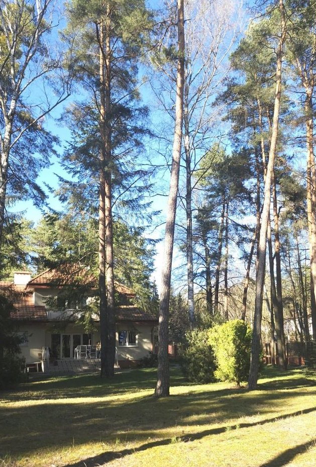 Przestronny dom Konstancin starodrzew