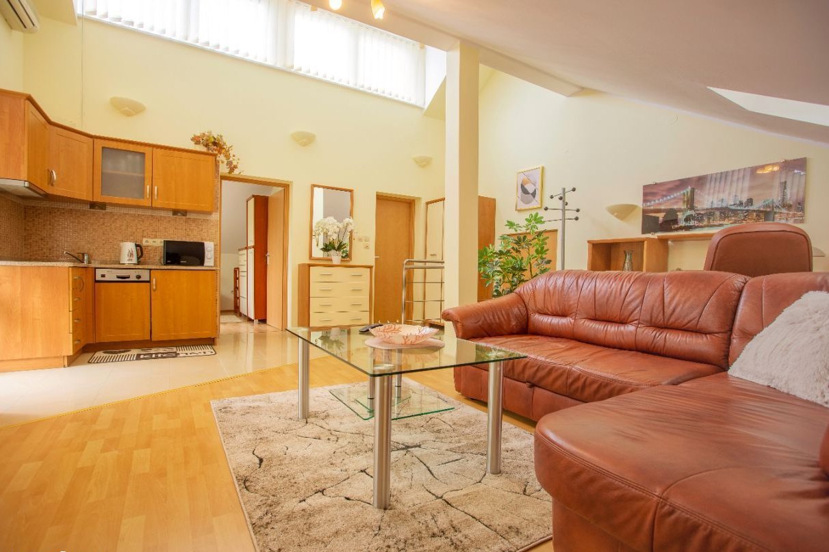 Wynajem apartamentu z klimatyzacja i garażem Opole - Suchy Bór