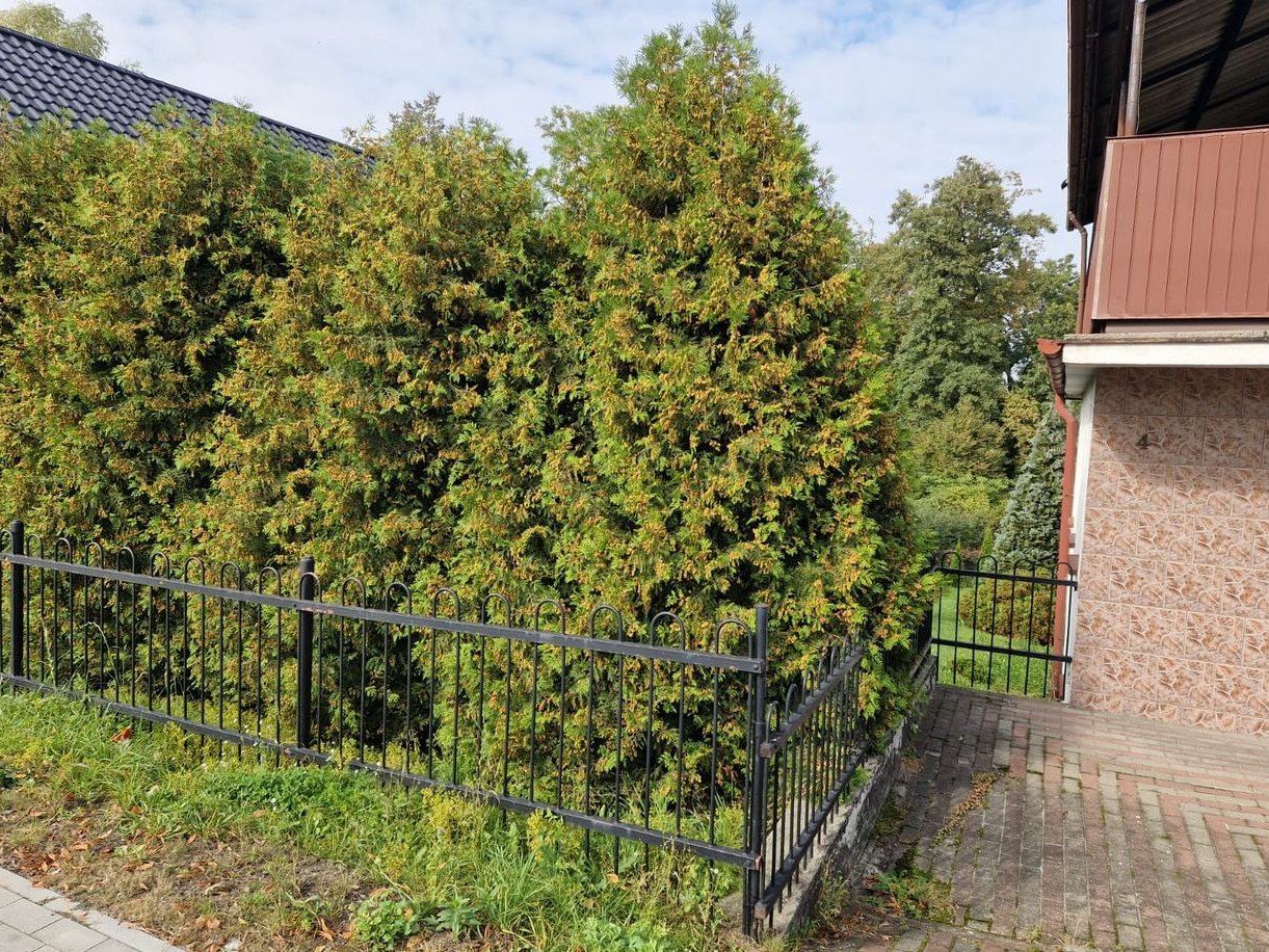 Zadbany dom jednorodzinny