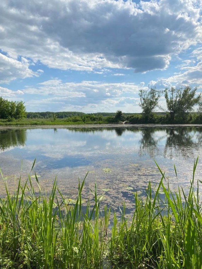 Sprzedam połowę bliźniaka