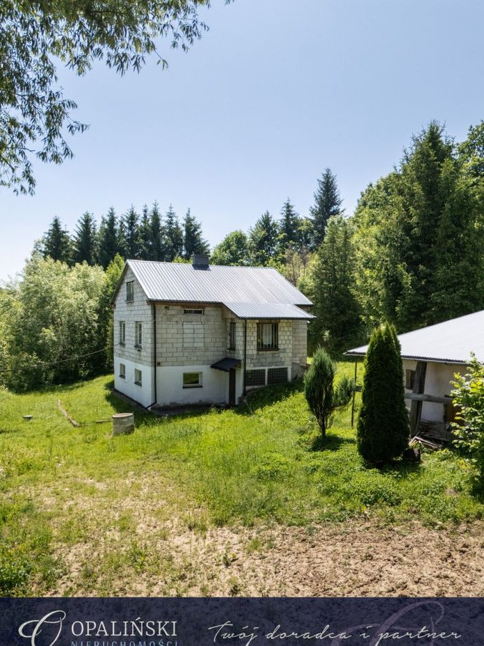 Dom w otoczeniu zieleni do własnej aranżacji