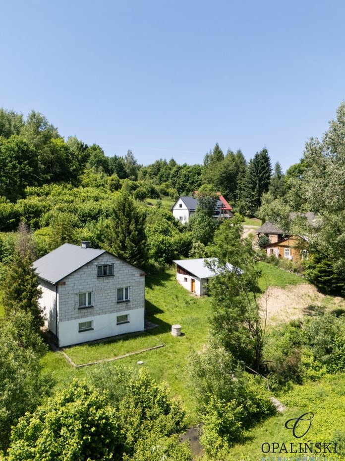 Dom w otoczeniu zieleni do własnej aranżacji