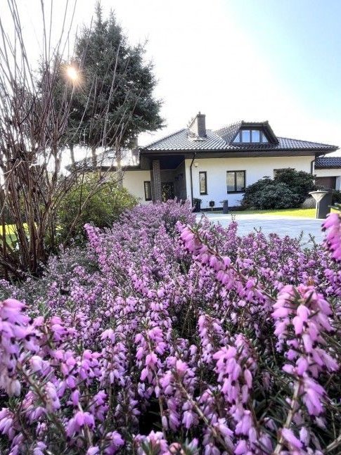 Piękny Dom W Motańcu