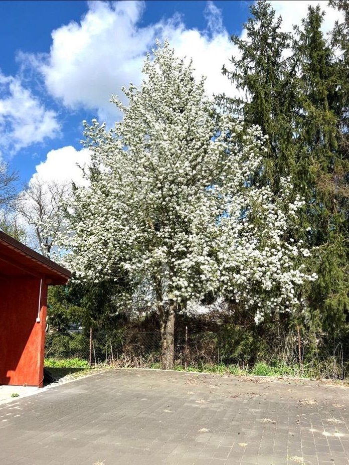 Dom z piękną działką w Dolinie Baryczy