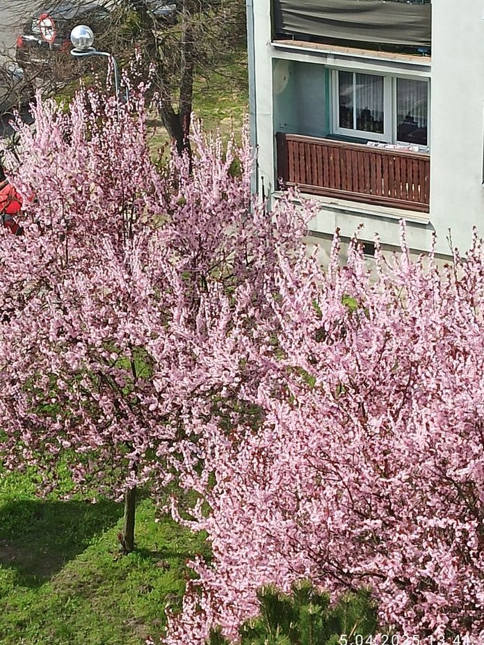 Przytulne 2-pokojowe mieszkanie z balkonem