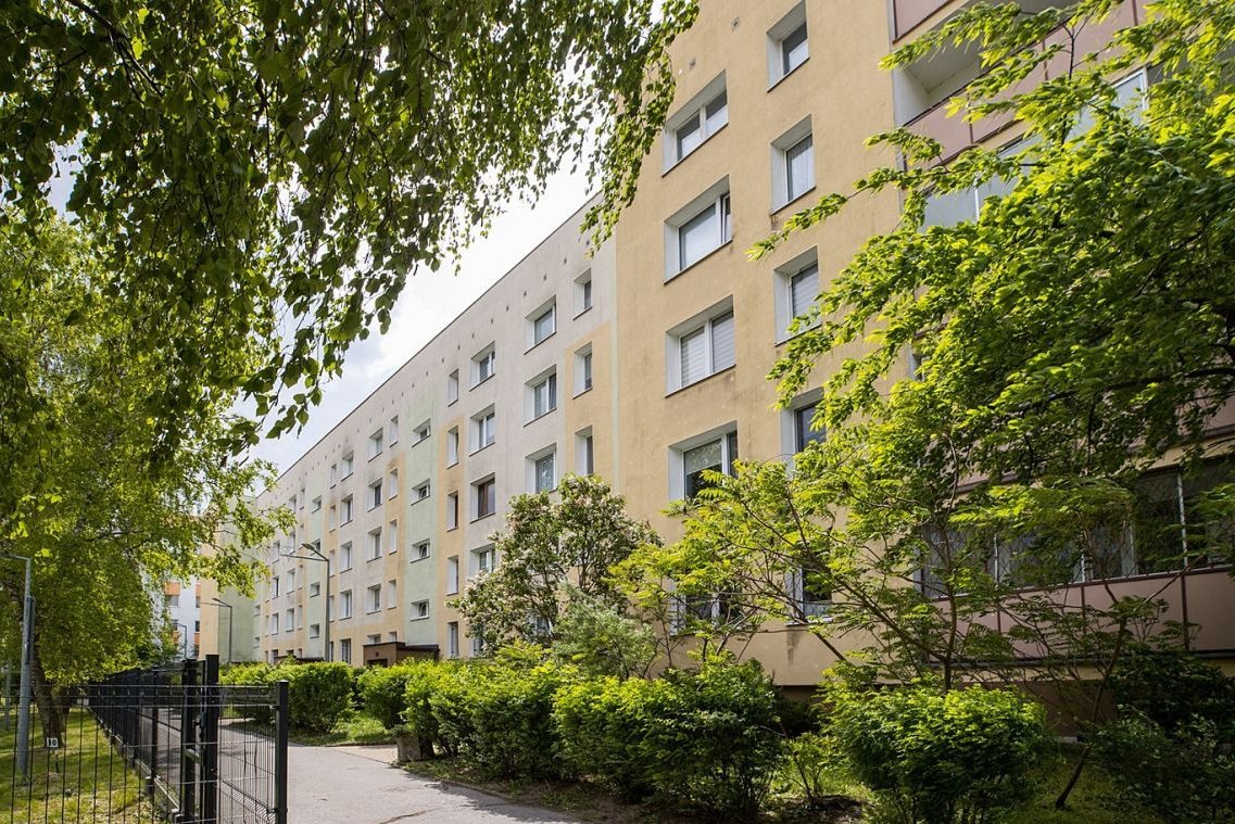 Jasne I Gotowe do wejścia I Las obok