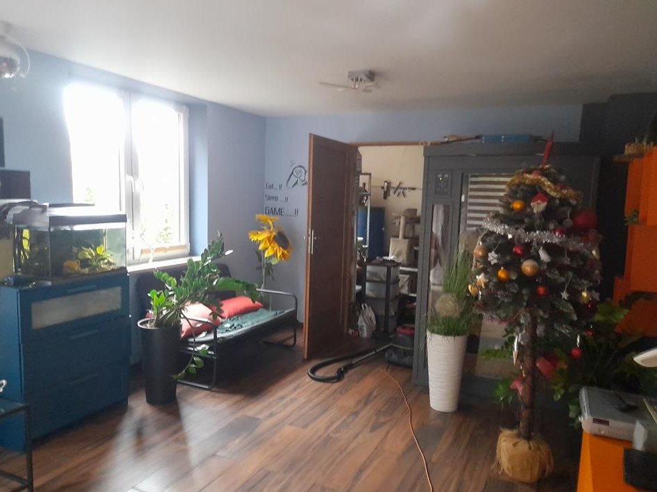 Syndyk sprzeda dom we wsi Twarda, okolice Zalewu, bez obciążeń na KW!