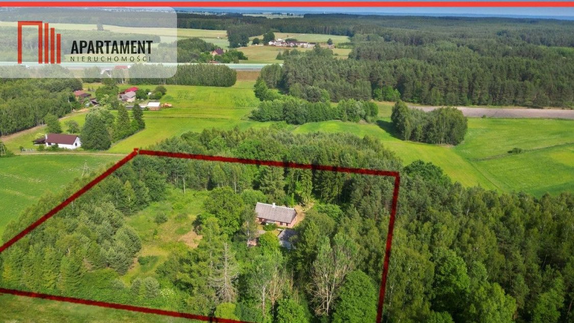 Magiczne siedlisko otulone lasem Borów Tucholskich