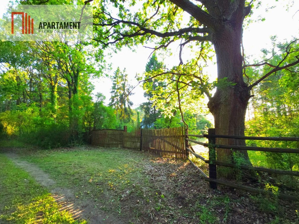 Magiczne siedlisko otulone lasem Borów Tucholskich