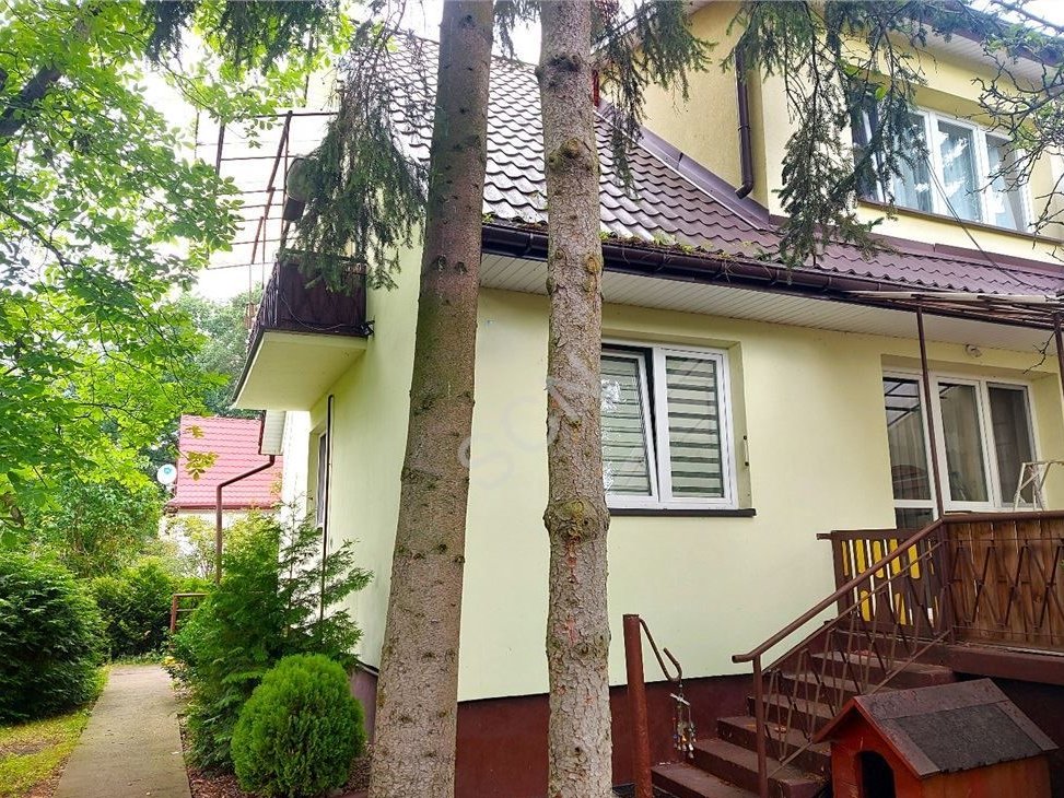 Duża działka, starodrzew