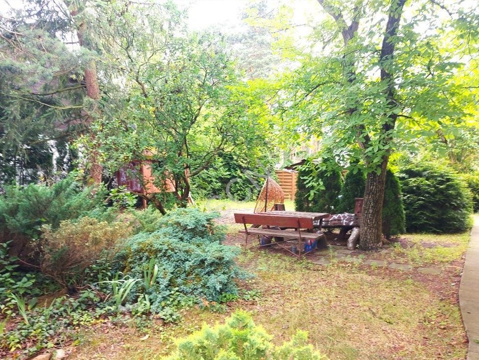 Duża działka, starodrzew