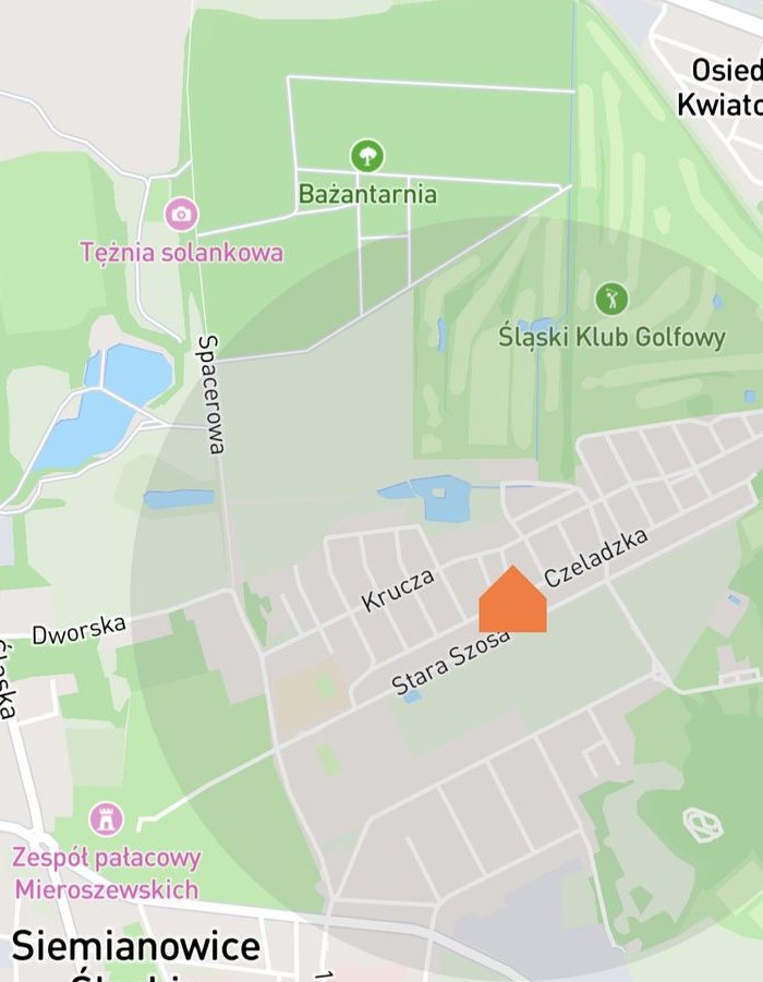 Dom wolnostojący w doskonałej i atrakcyjnej lokalizacji-Pszczelnik