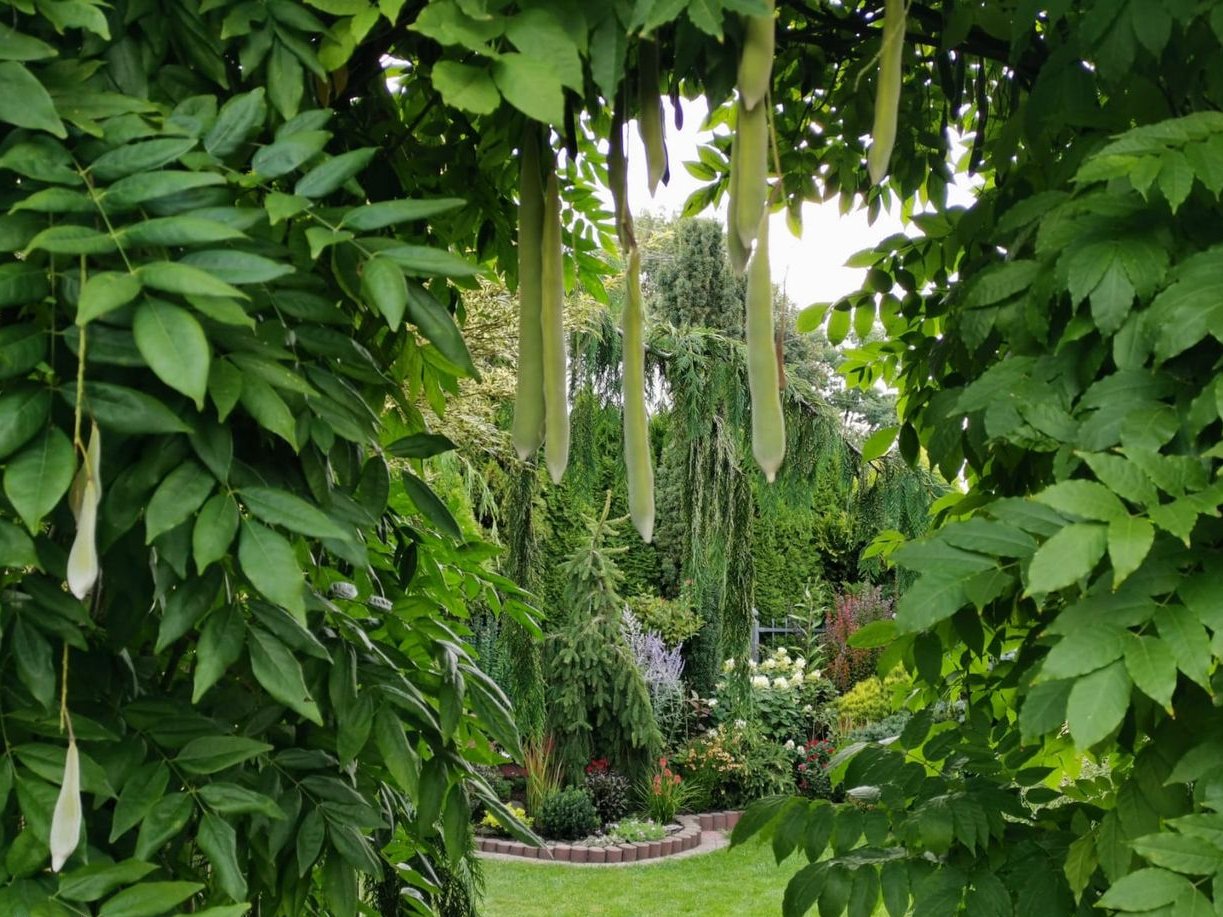 Dom wolnostojący w doskonałej i atrakcyjnej lokalizacji-Pszczelnik