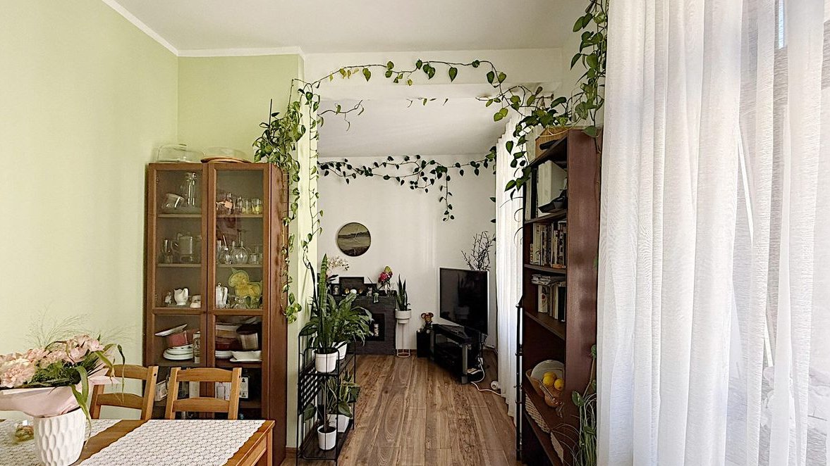 Klimatyczne, wysokie mieszkanie w sercu miasta