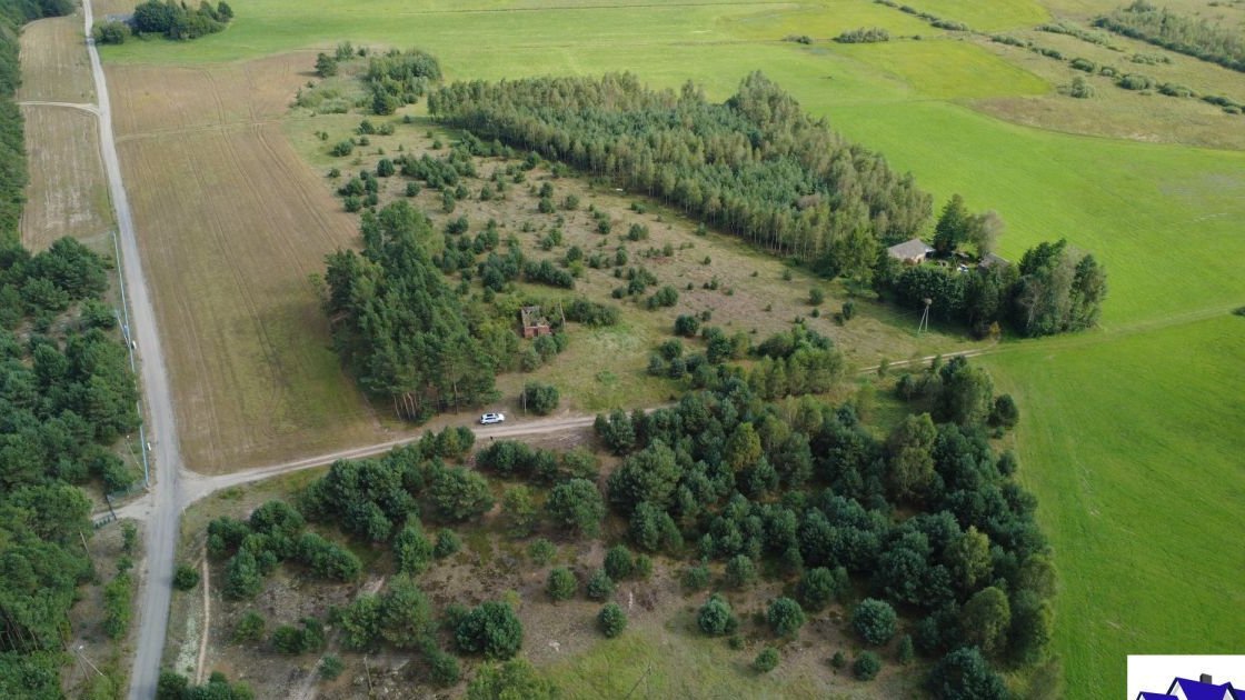 Siedlisko w sąsiedztwie lasu