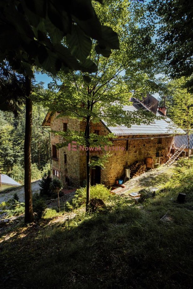 Kamienny dom, las, potok, 72 ary, Beskidy