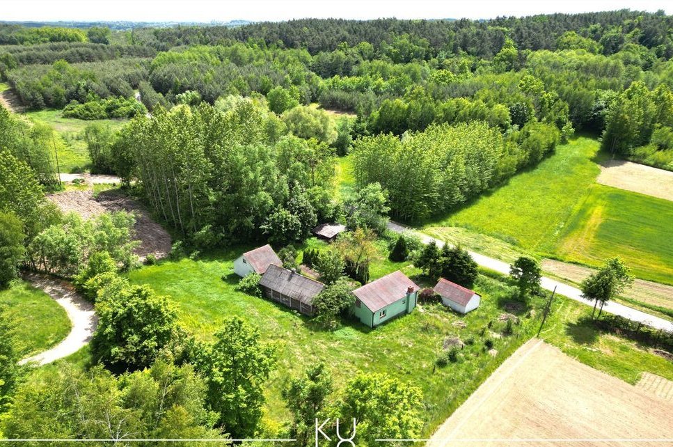 Twoje Nowe Miejsce na Skraju Lasu!