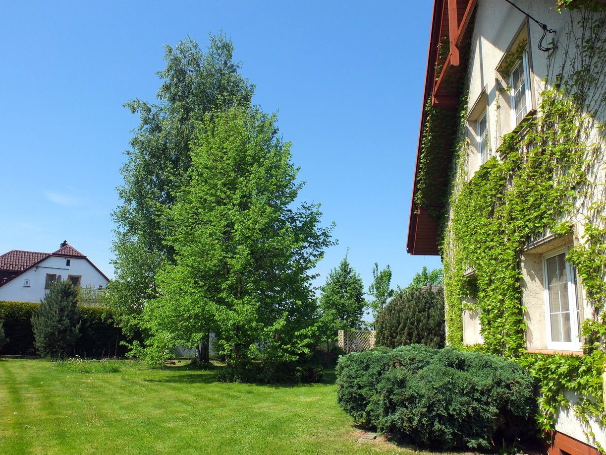 Bliźniak z dużym ogrodem