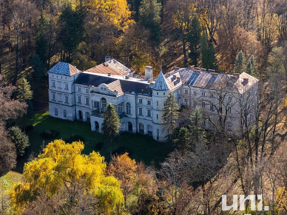 Wyjątkowy Pałac Ostaszewskich | Wzdów | Okazja