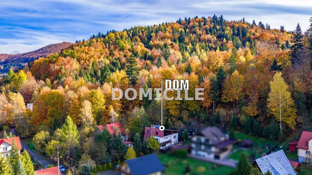 Dom w górach otoczony lasem