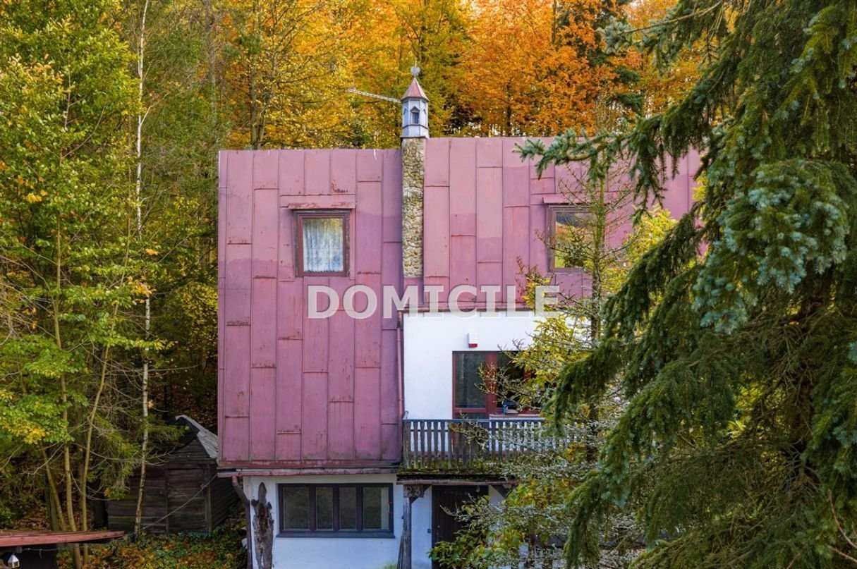 Dom w górach otoczony lasem