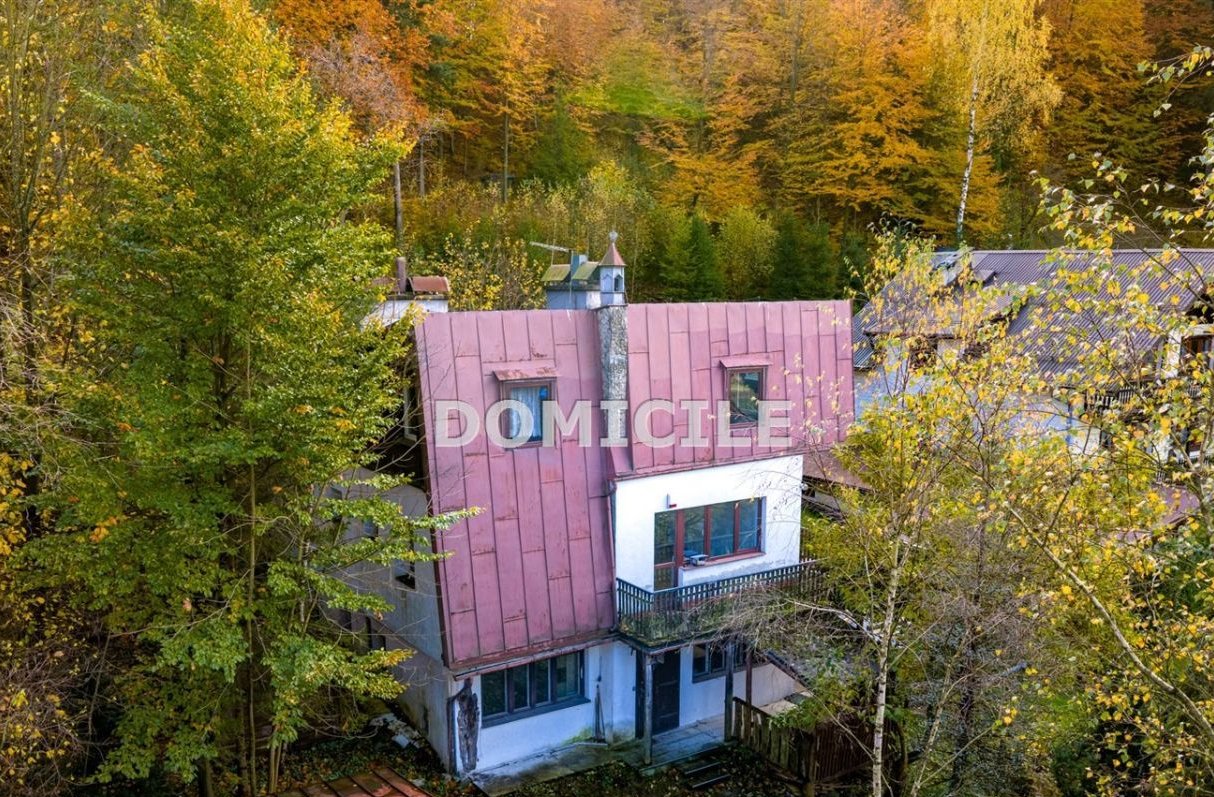 Dom w górach otoczony lasem