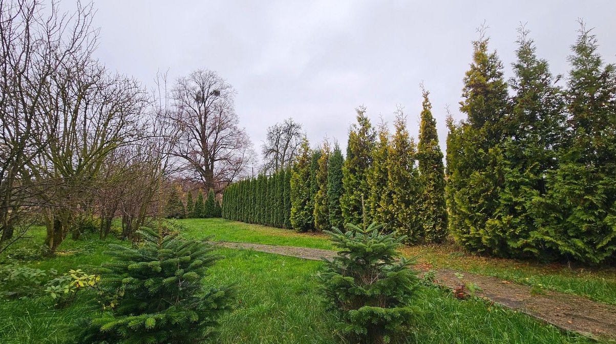 Na sprzedaż dom w Radzieszynie + działka ponad 24 ar. Cicha okolica.