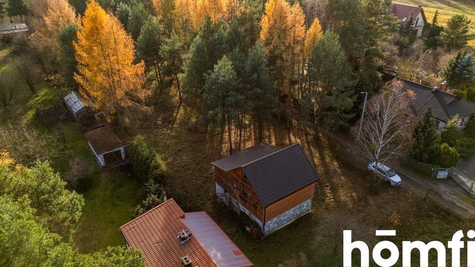 Dom w otoczeniu drzew