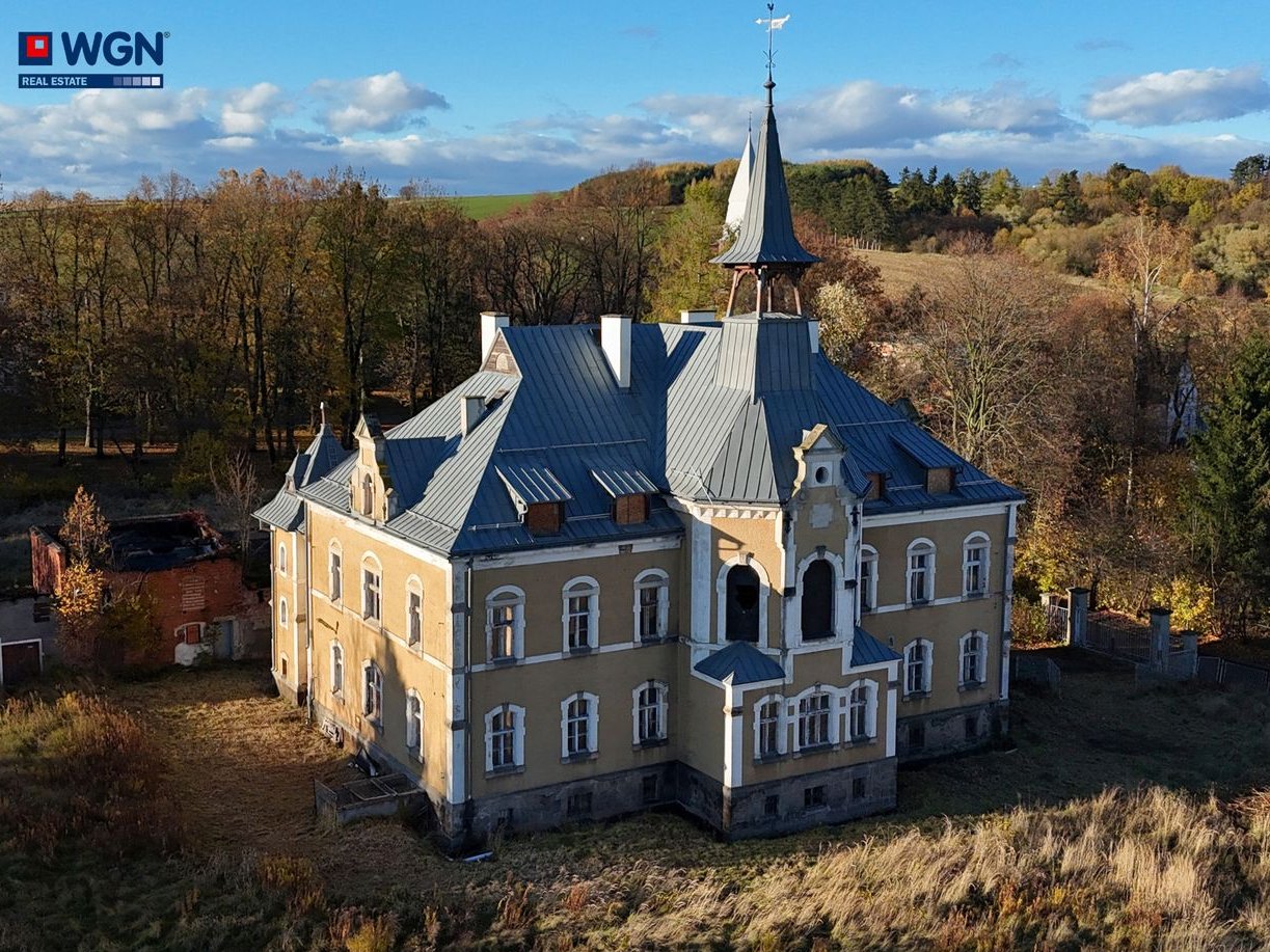 Zabytkowy pałac - dawny szpital - na sprzedaż.