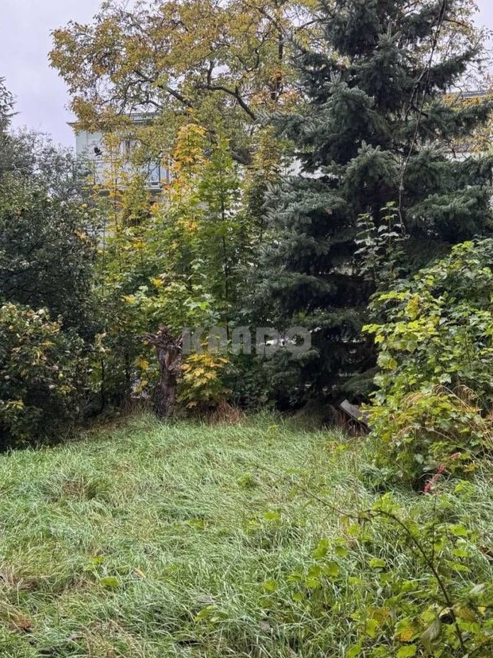 ok. Stadionu Olimp. Parku Szczytnieckiego