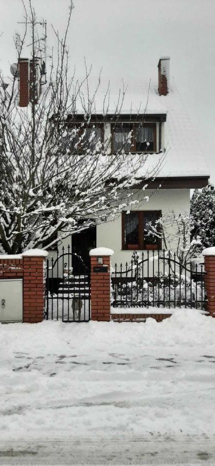 Bliźniak na sprzedaż