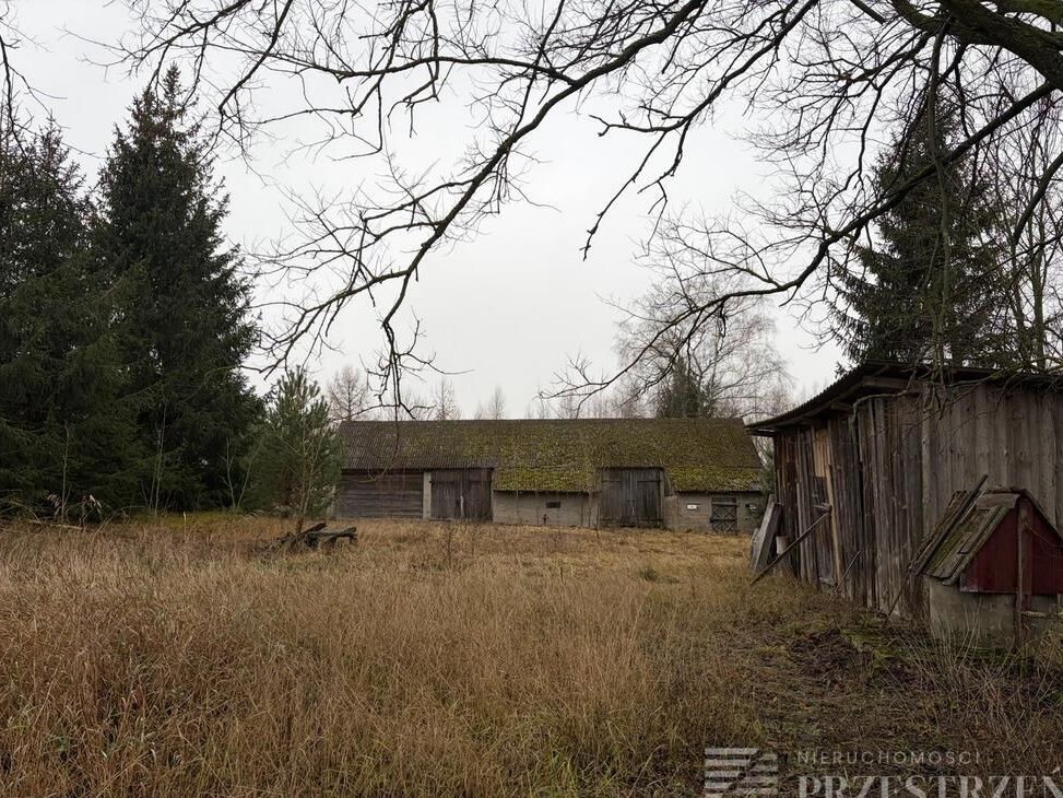 Siedlisko na Podlasiu