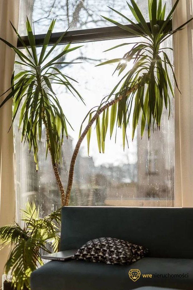 2 pokoje I Top lokalizacja I Ostrów Tumski