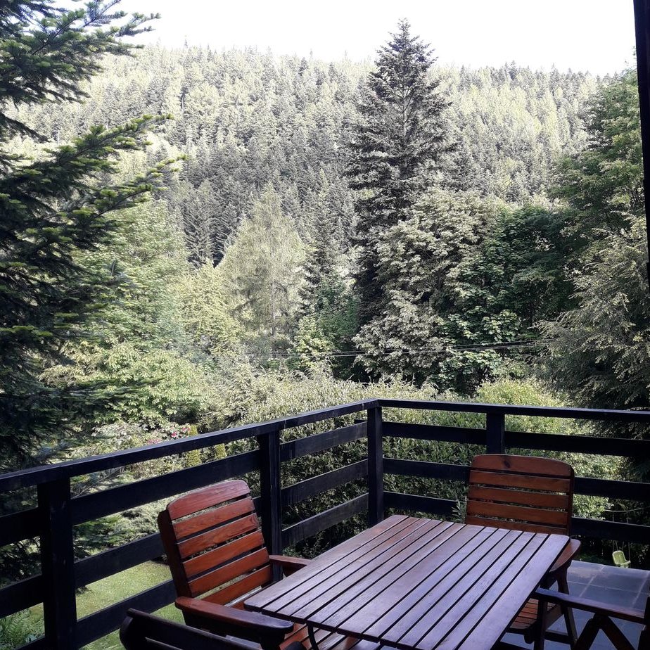 Wolnostojący dom w spokojnej wsi z garażem i dużą działką