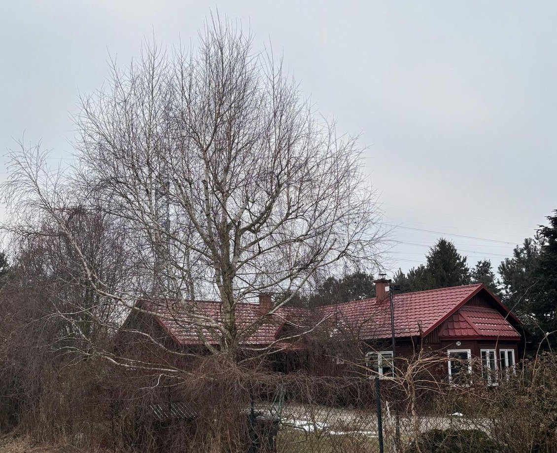 Piękne siedlisko z potencjałem w Dąbrowie 10 km od Poznania