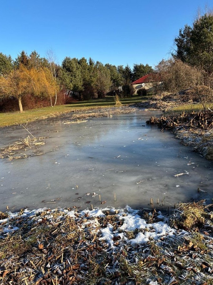 Piękne siedlisko z potencjałem w Dąbrowie 10 km od Poznania