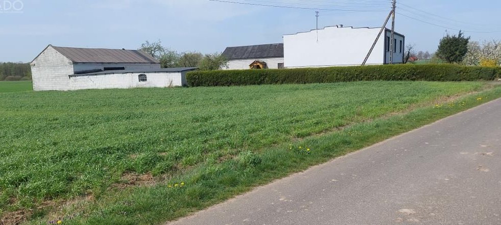 Gospodarstwo 5,72 ha Góraj gm. Babiak