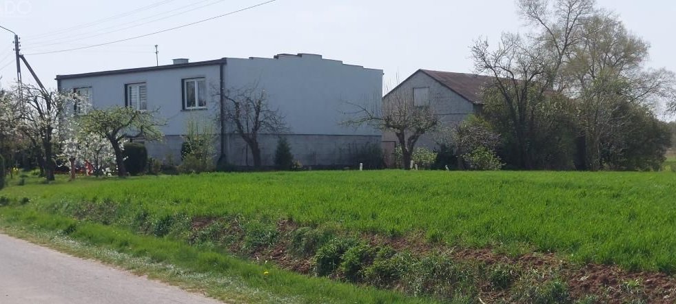 Gospodarstwo 5,72 ha Góraj gm. Babiak