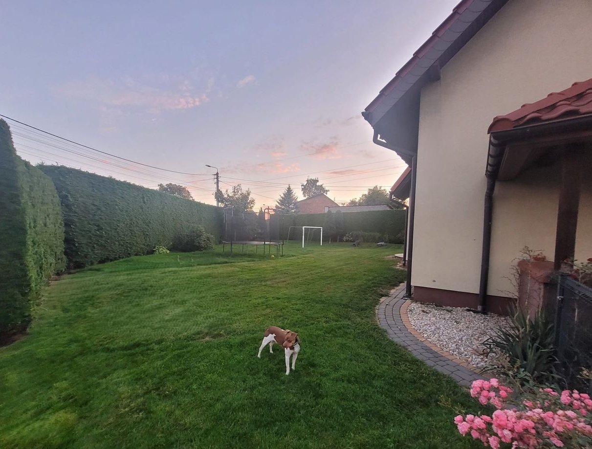 Dom z garażem 179m2, 1256m2 działka, Klimatyzowany. Fotowoltaika.