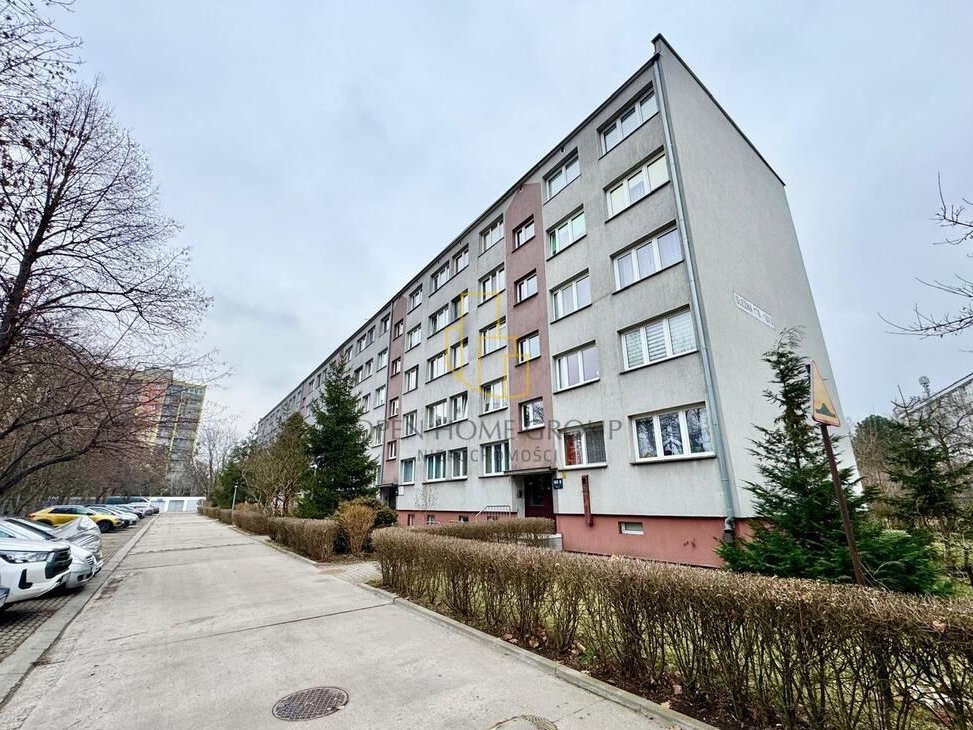 Widok park / Borek / jasne / piwnica / tramwaj