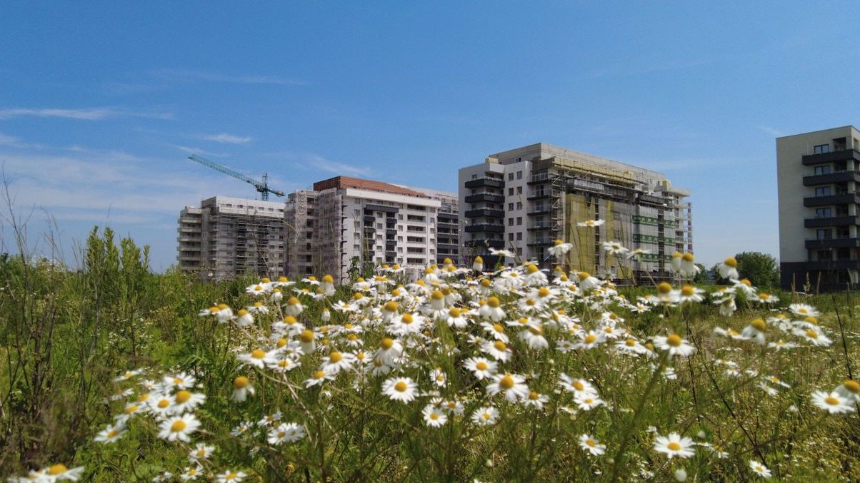 Praktyczne | 3 pokoje | 47,96 m² | P12‑71