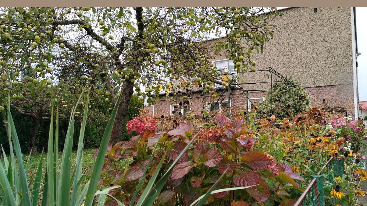 Przestronny dom wolnostojący 220 m² z garażem, działka 1365 m2