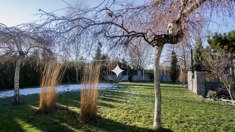 Dom w górach ze stawem Jaszkowa gmina Kłodzko