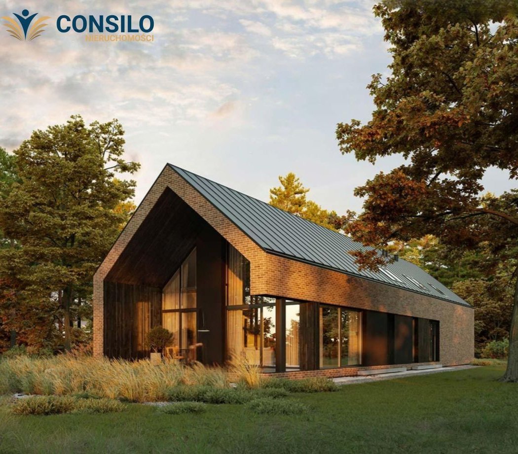 Nowoczesny dom parterowy