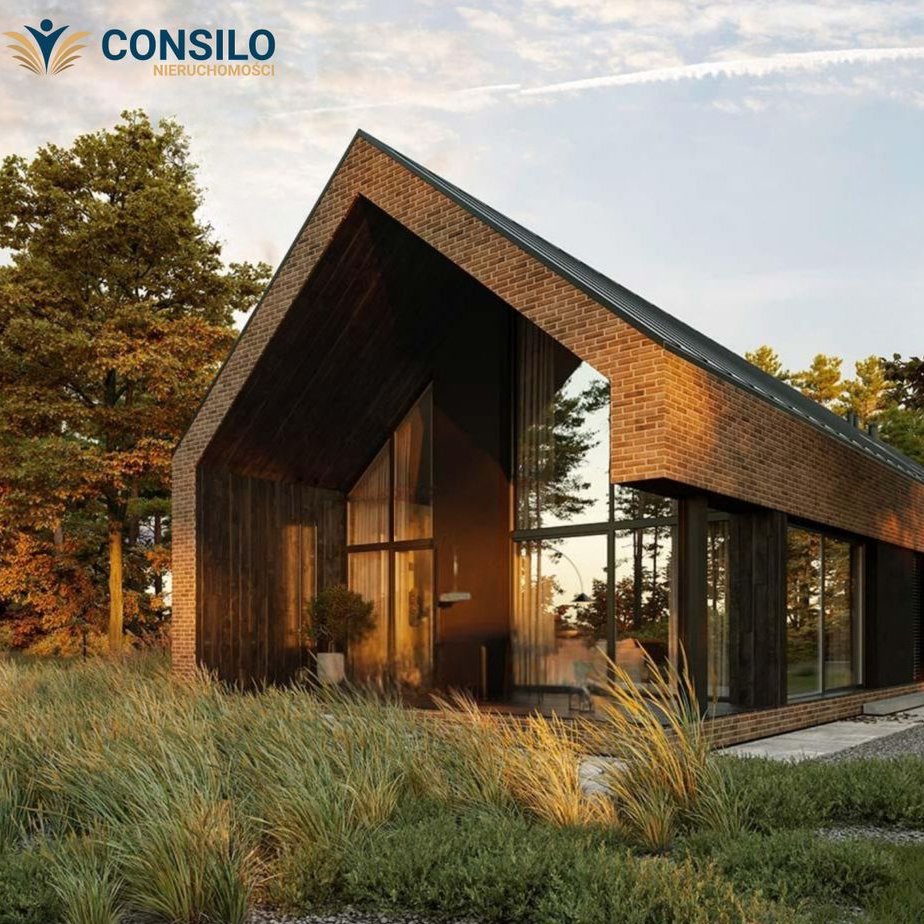 Nowoczesny dom parterowy