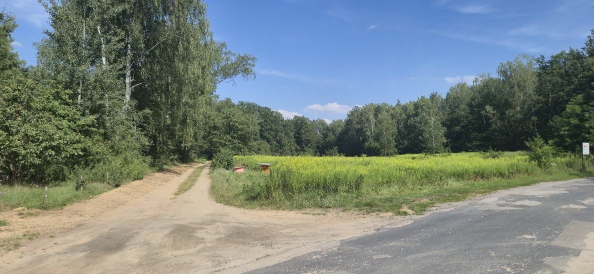 Dom 111 m² SSZ Rydzynki przy LESIE przystanek asfalt Zofiówka Tuszyn