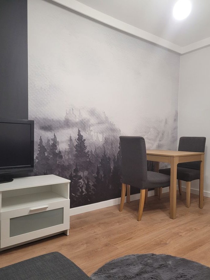 2 - pokojowe po remoncie CENTRUM, inwestycyjne