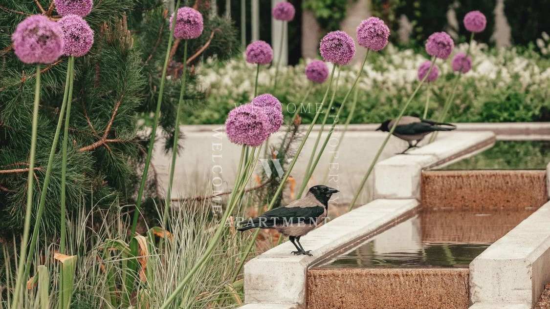 Nadmorski Dwór | Apartament wśród starodrzewu.