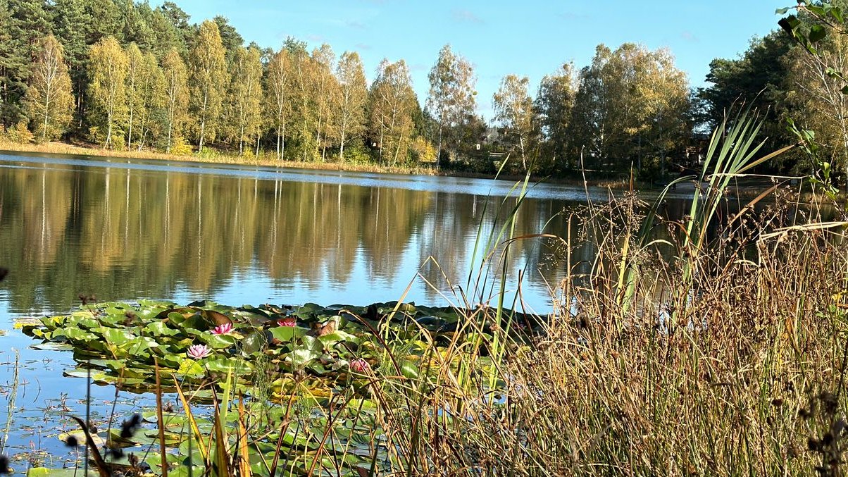 dom z ogrodem nad jeziorem w pierwszej linii zabudowy Marylin