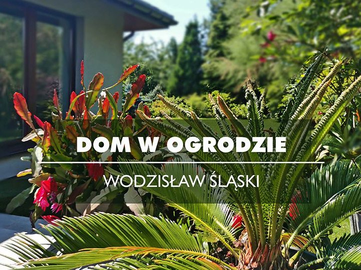 Parterowy dom blisko centrum miasta